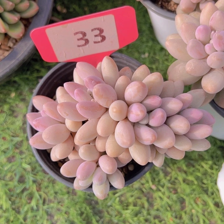 健健康康平平安安