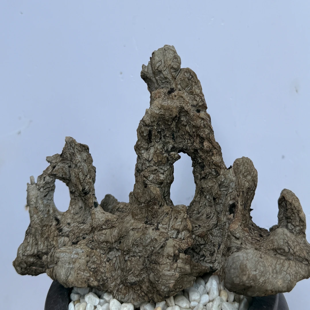 纹石，以直播间一物一拍为准