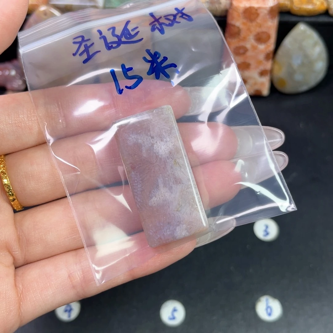 硅化珊瑚（珊瑚玉）吊坠未镶嵌