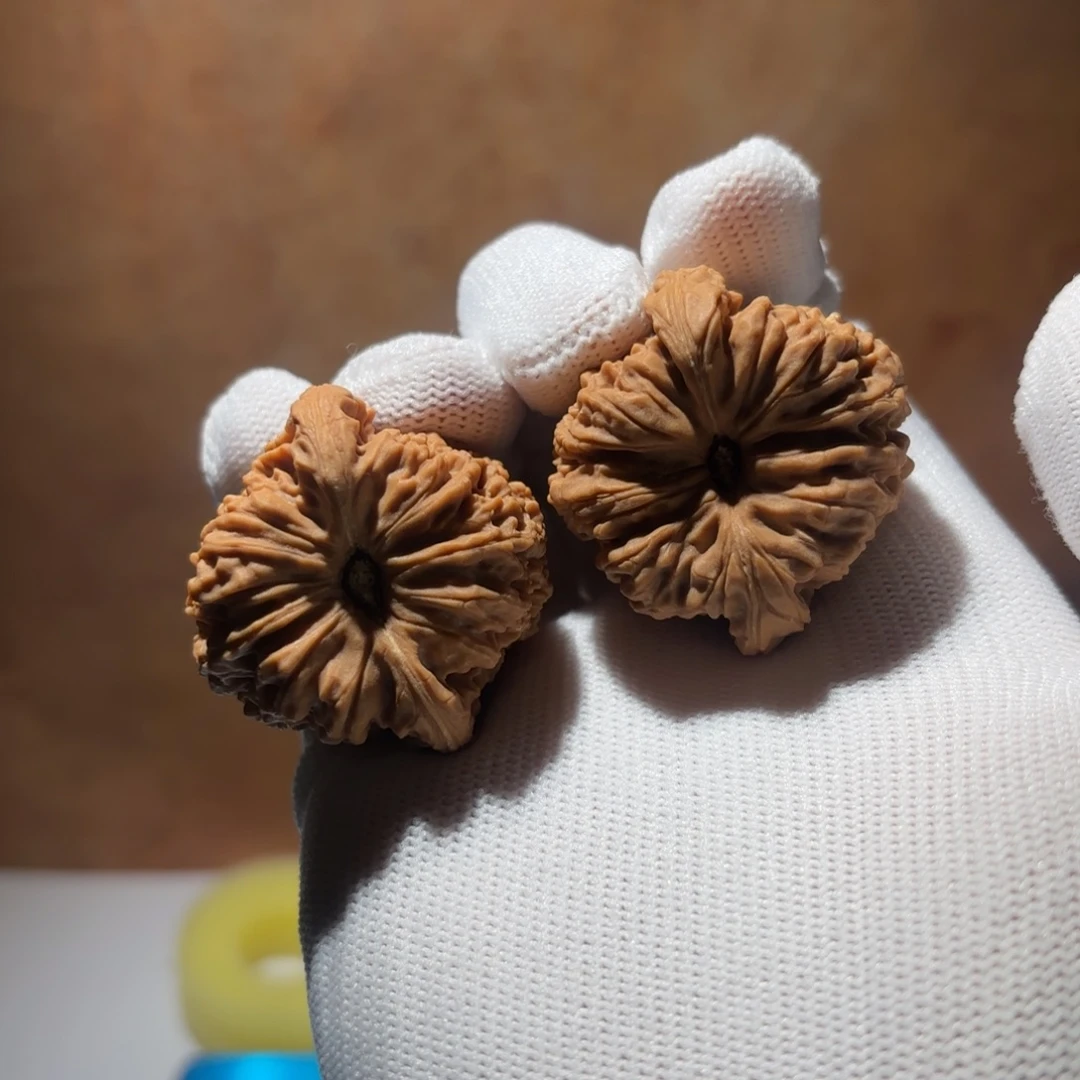 吊坠文玩核桃2号链接39尺菊花