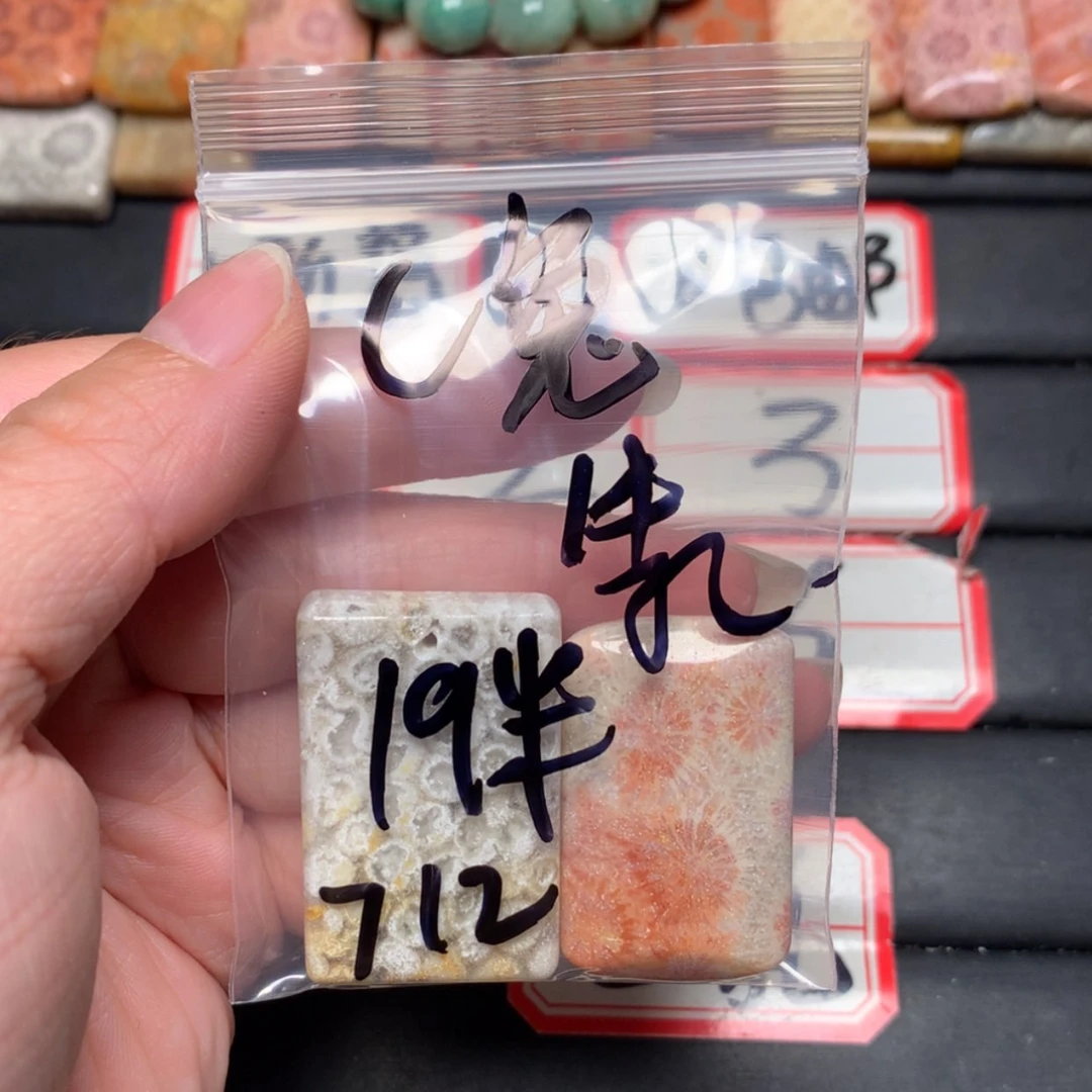 【闪购商品】未镶嵌颈饰硅化玉c*