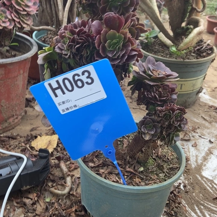 妍***姐063欧紫欧紫欧紫欧紫