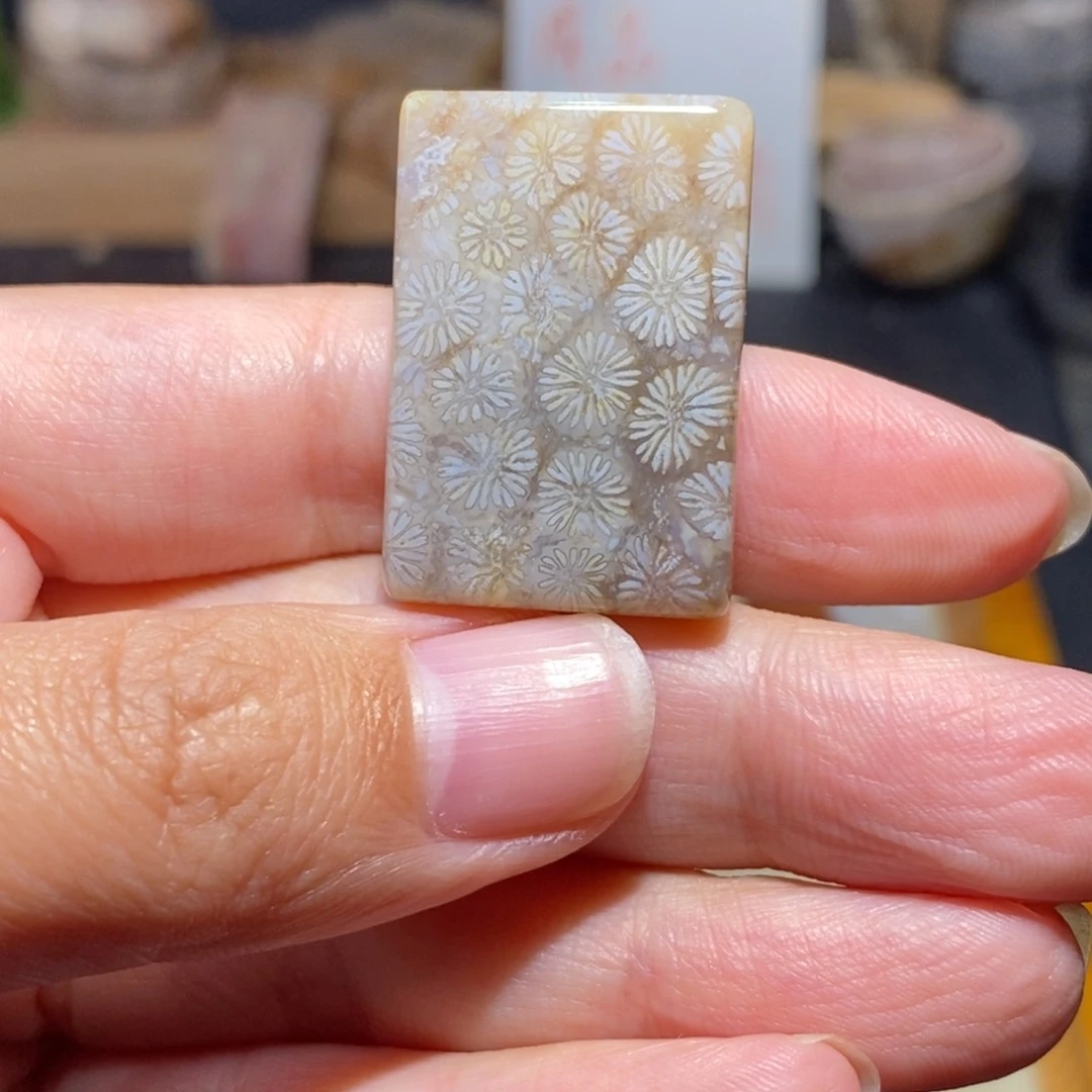 【闪购商品】硅化玉珊瑚玉未镶嵌
