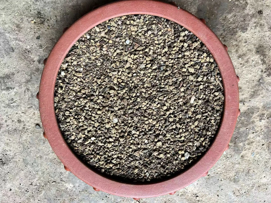 盆景专用纯天然虫屎土养桩专用生根快透气好保湿度养分高