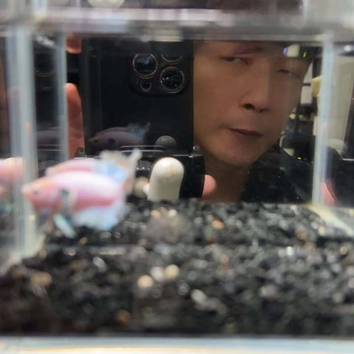 斗鱼竞拍跑单拉黑23日85