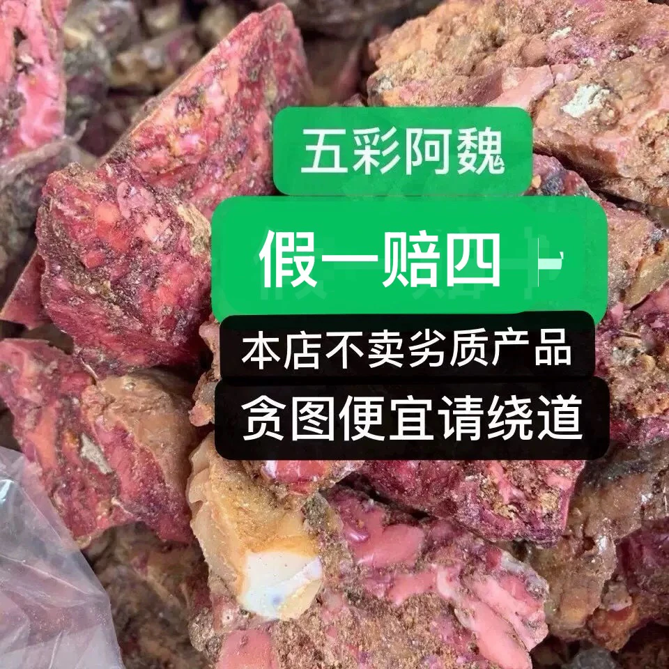 正宗阿魏泡酒臭阿魏钓鱼五彩阿魏阿魏树根阿魏正品新疆阿魏