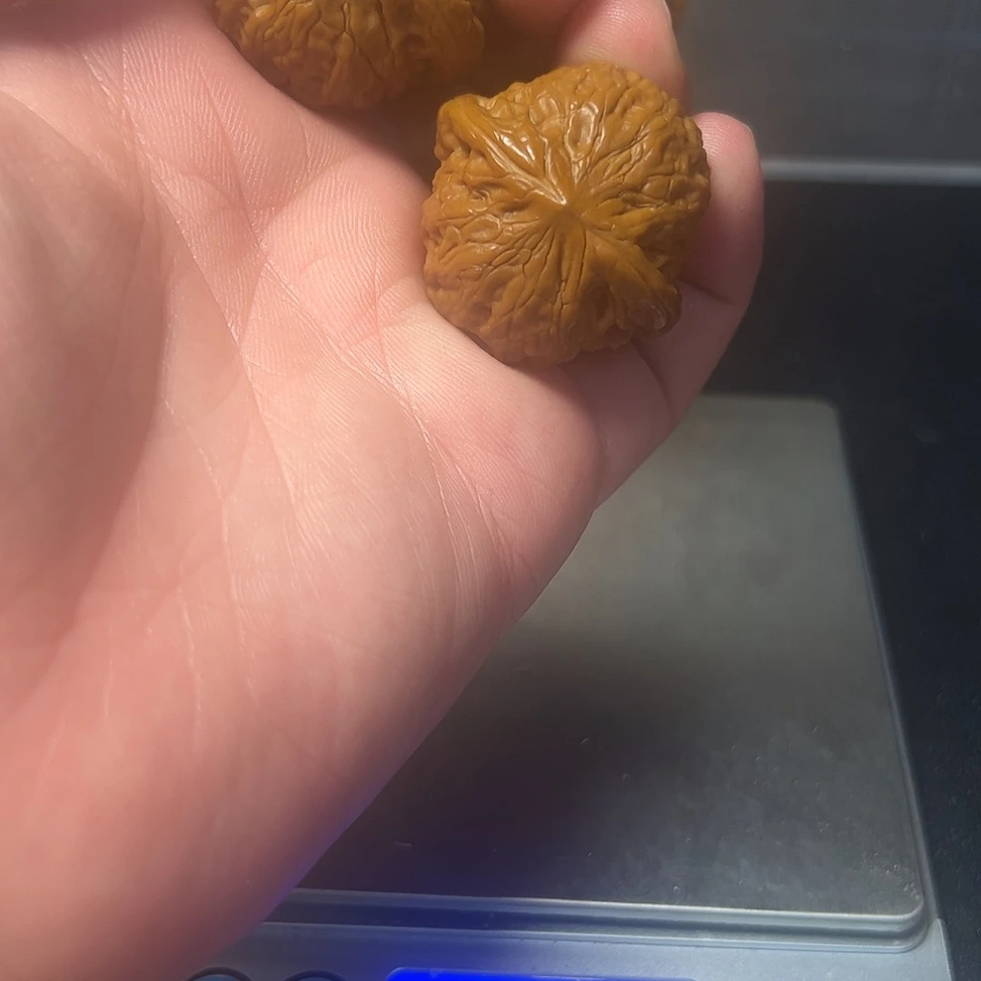 文玩核桃把件36铁锤回血