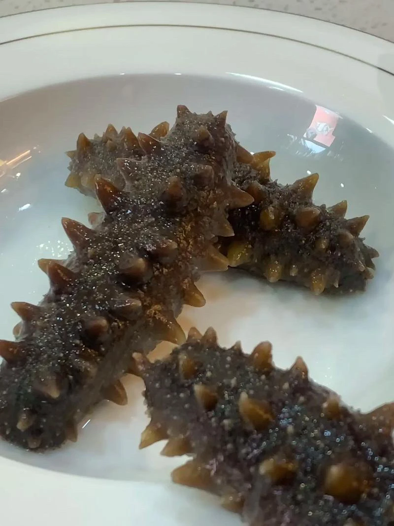 尾货处理大连纯淡干海参 渤海湾深海货体验装