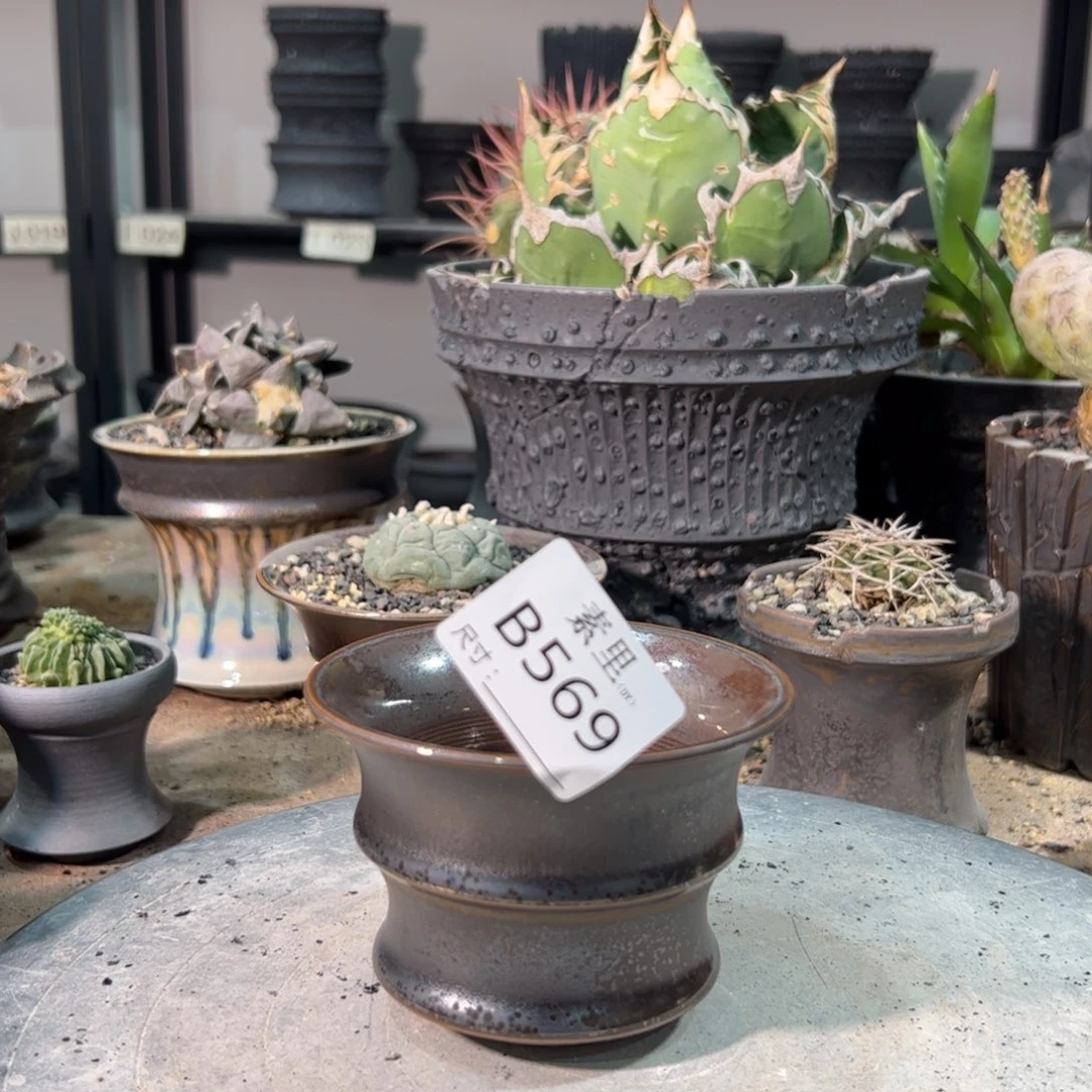 景德镇手工素里内口10高7