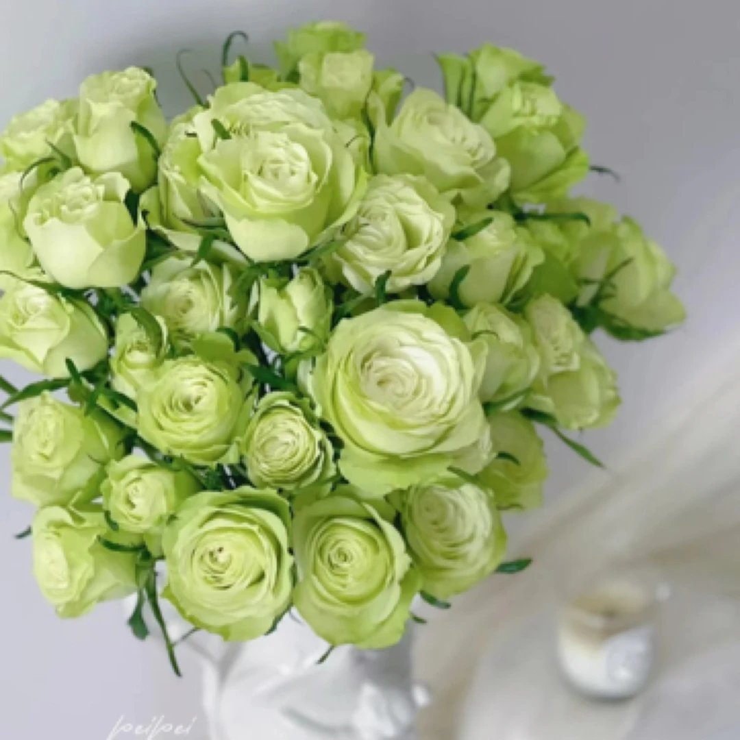 【稀有品种】薄荷茶多头玫瑰10枝-任意两单升级顺丰或EMS空运包邮