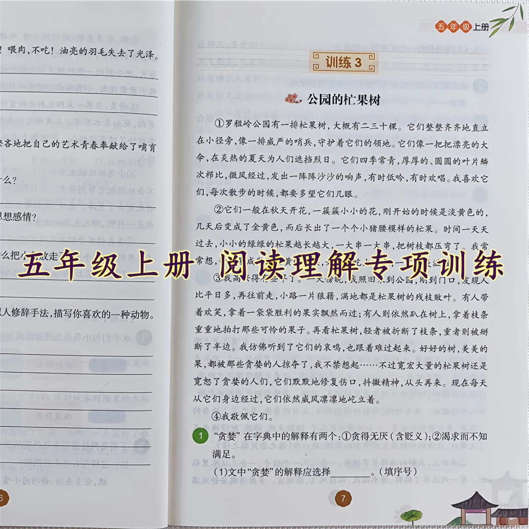 五年级上册语文阅读理解专项训练人教版语文阅读理解训练书练习题
