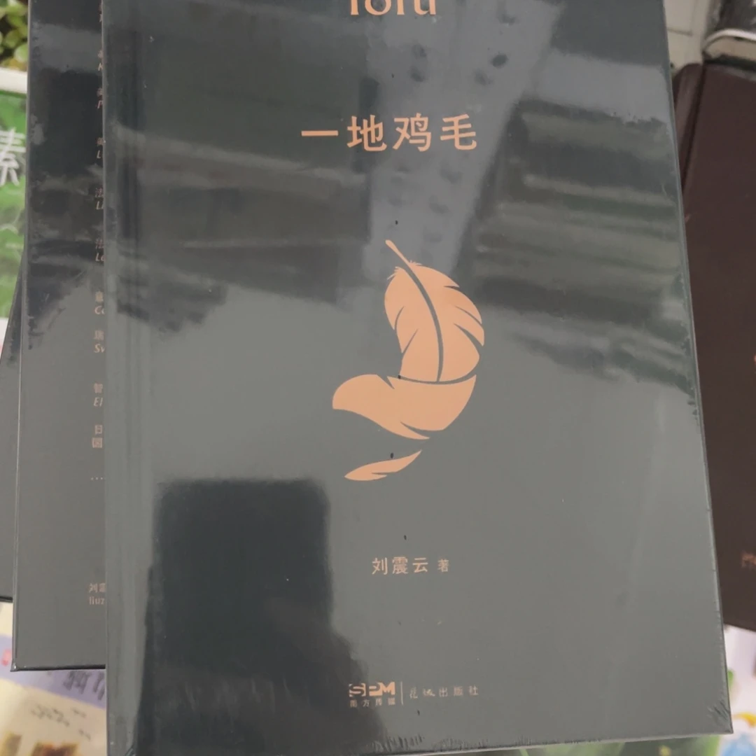 一地鸡毛精装一个^_^