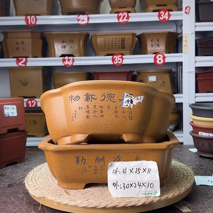 紫砂花盆蛇年大吉