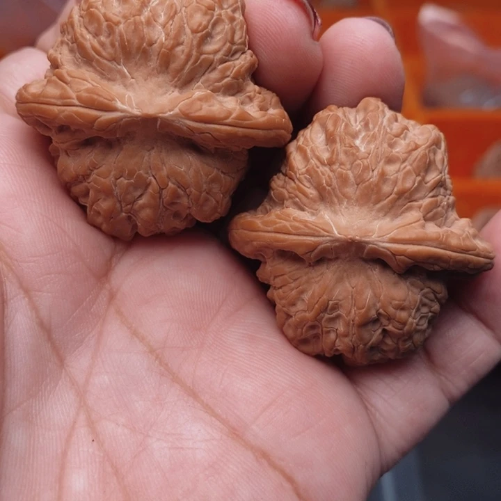 核桃血麒麟39尺核桃