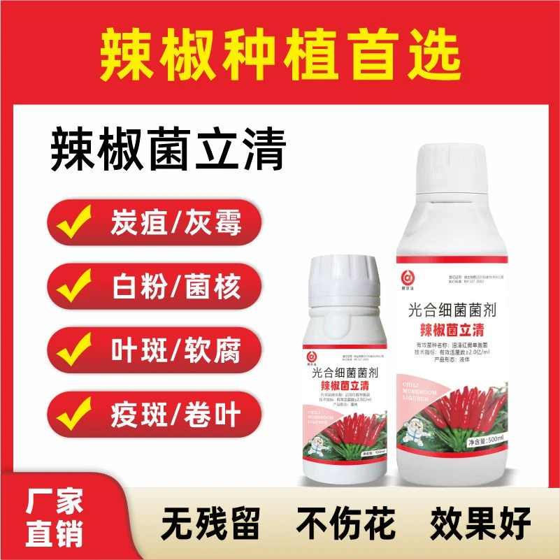 辣椒菌立清炭疽灰霉白粉菌核叶斑软腐疫斑巻叶专用肥