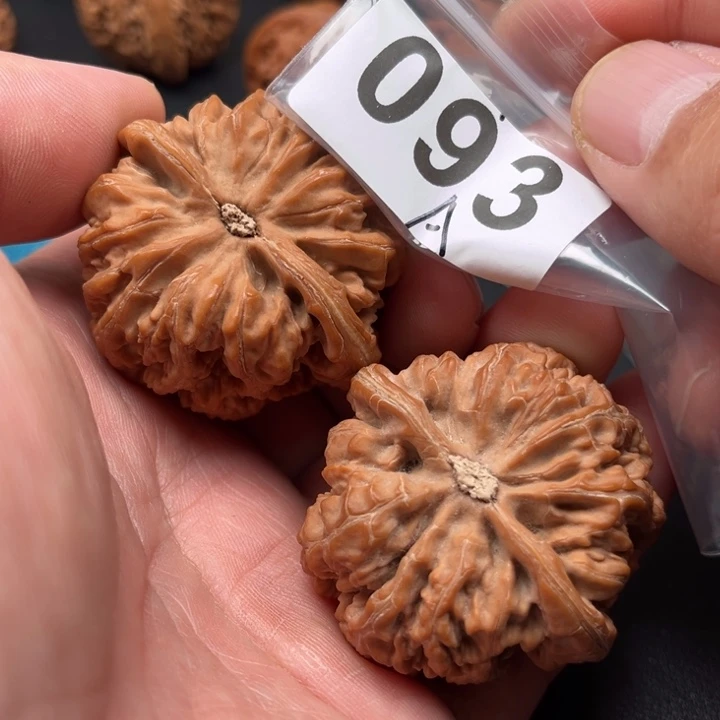 把件桃核粗筋46个