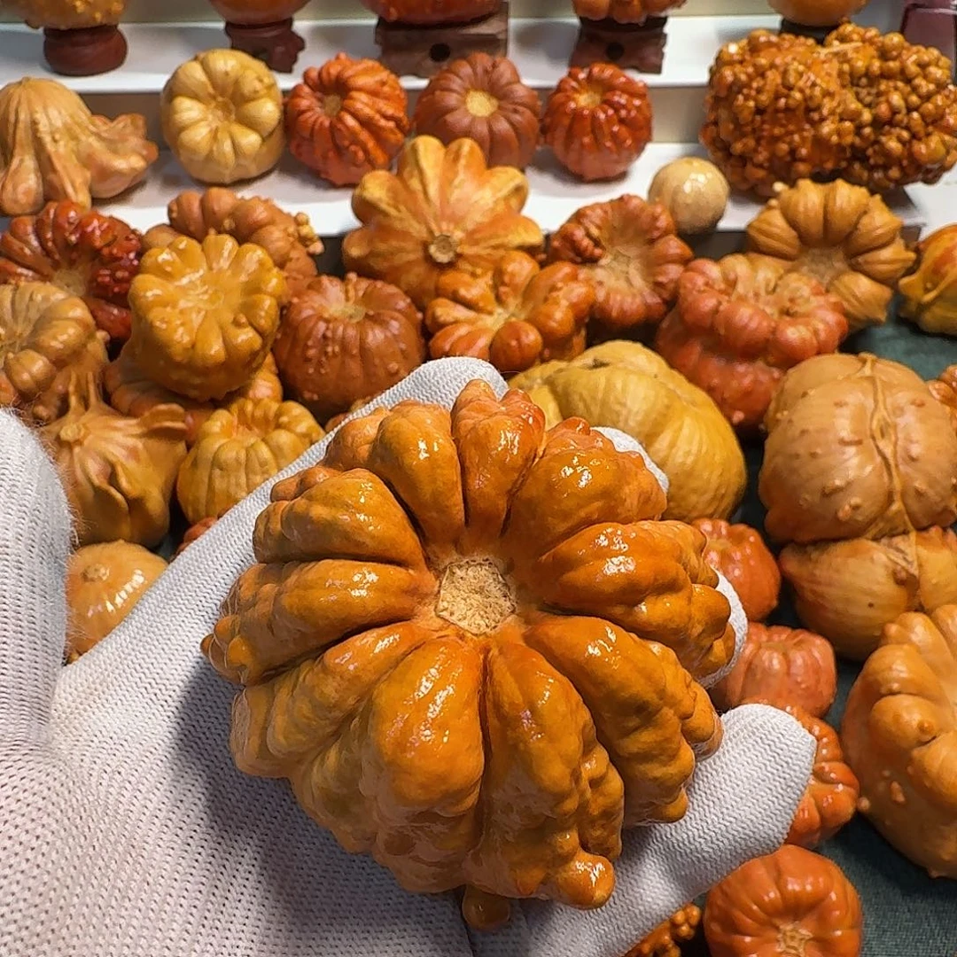 *****墨西哥葫芦瑕疵不退换