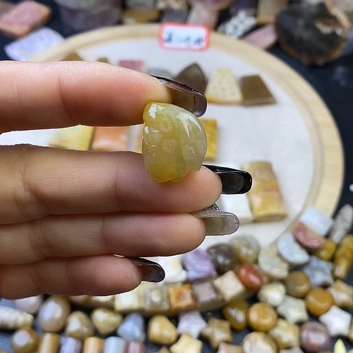 针钠钙石（海纹石）未镶嵌颈饰30