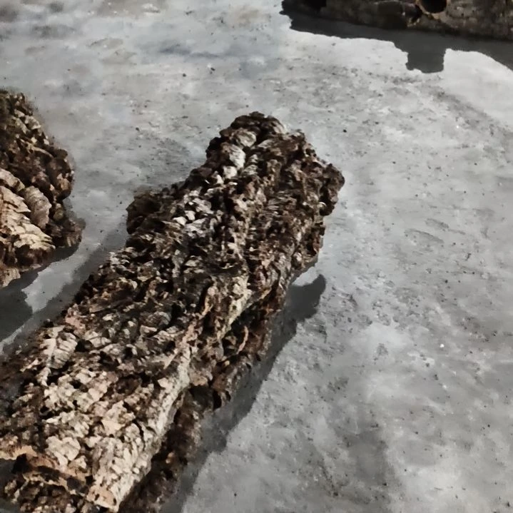 我***啊顺顺利利，平平安安