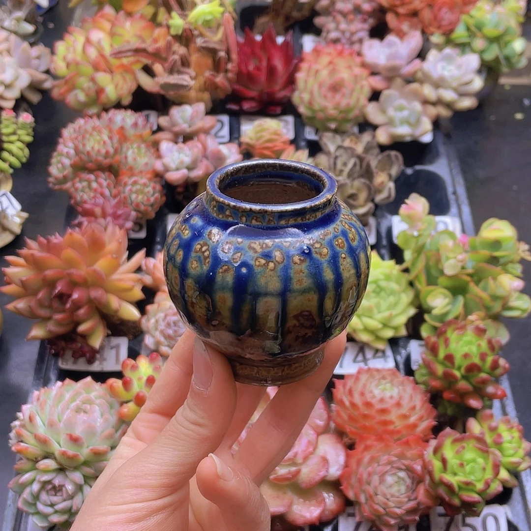 猫***妞花钱花钱花钱花钱花钱