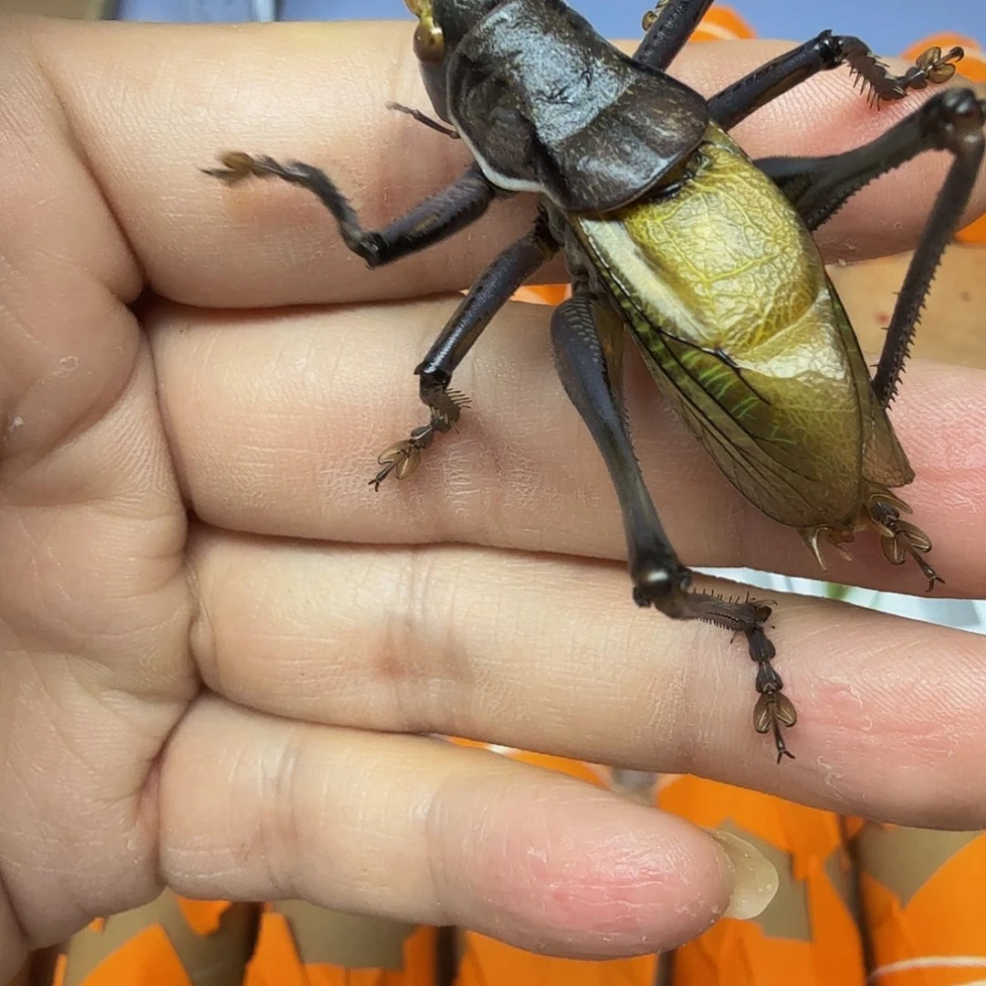 金***勇哈哈哈哈哈哈哈哈哈哈哈