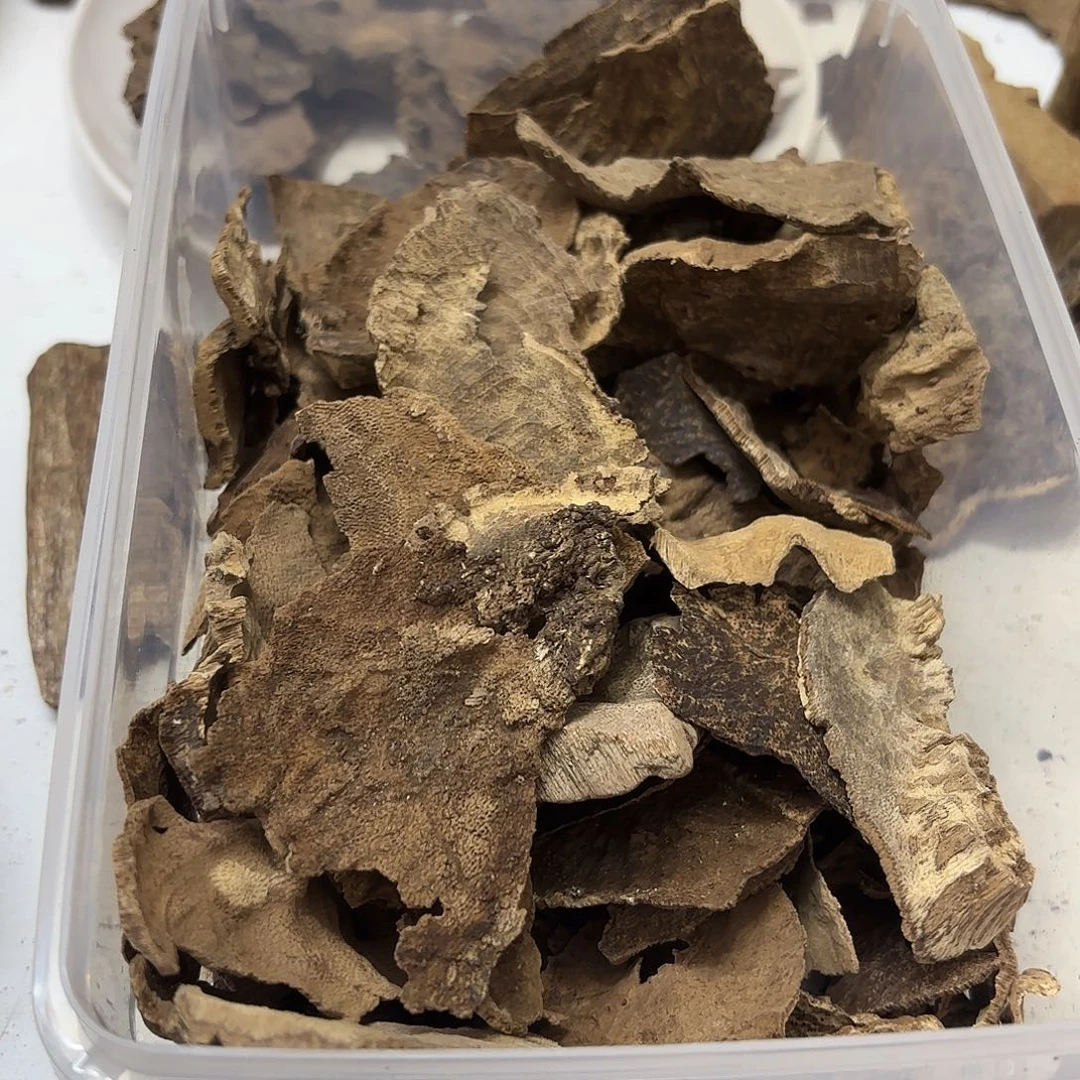 沉香沉香碎屑厦****司铁头碎193克