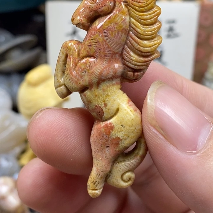 硅化珊瑚（珊瑚玉）未镶嵌颈饰