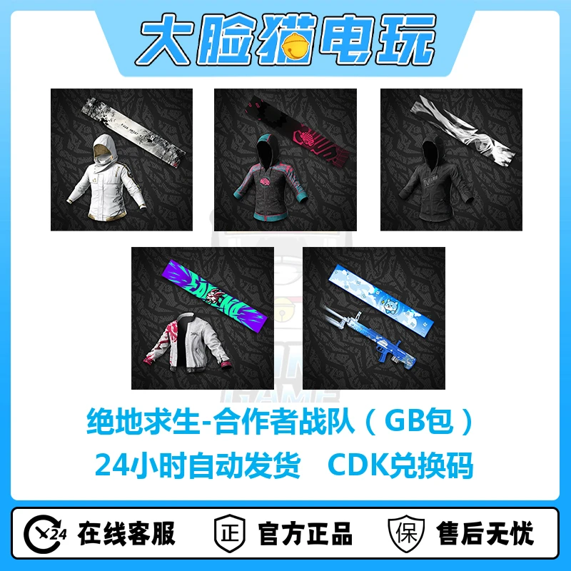 PUBG绝地求生合作者战队套装CDK兑换码端游激活码