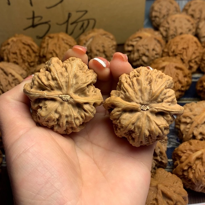 吊坠文玩核桃闻**舞粗筋