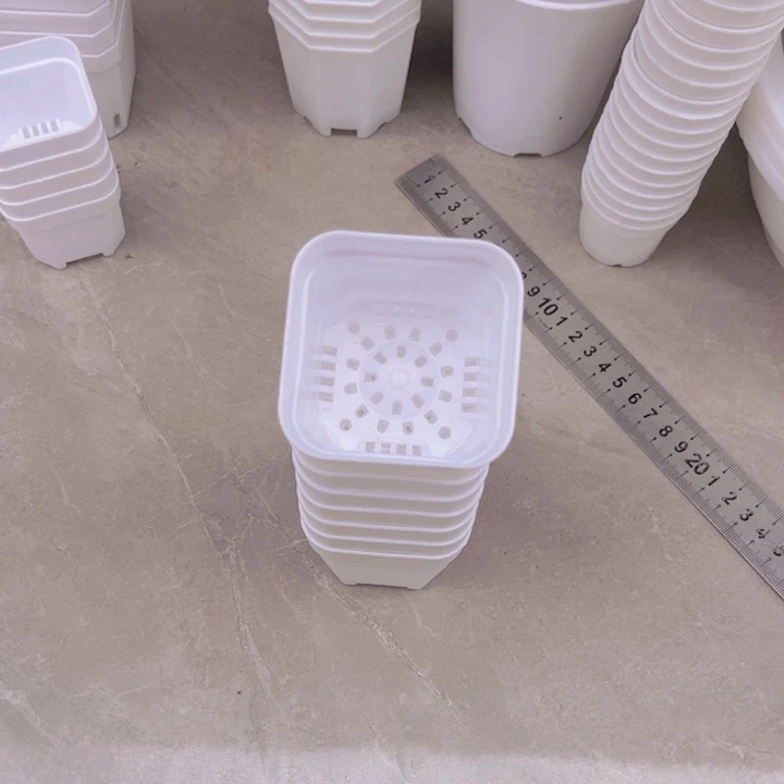 白方口5高5一组30个