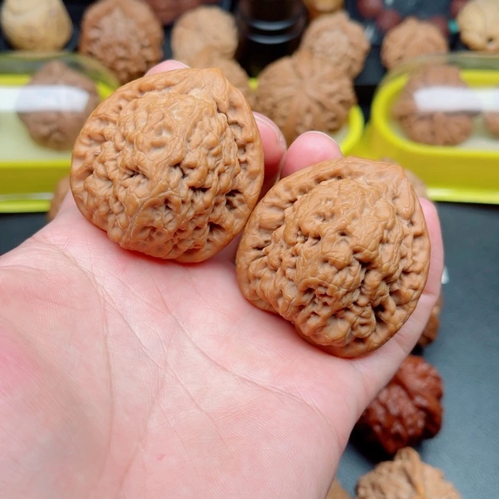 把件文玩核桃金公子狮子头43×39×46