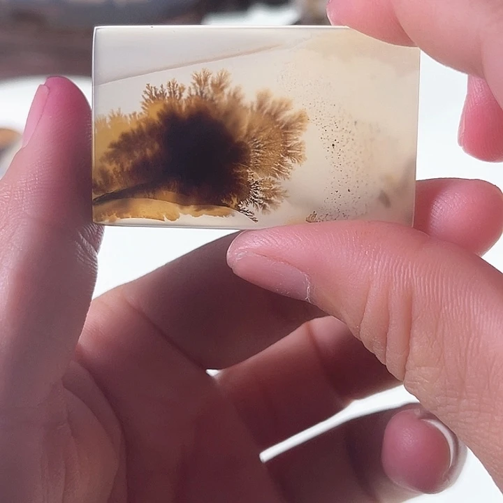 玛瑙/玉髓未镶嵌珠宝半成品