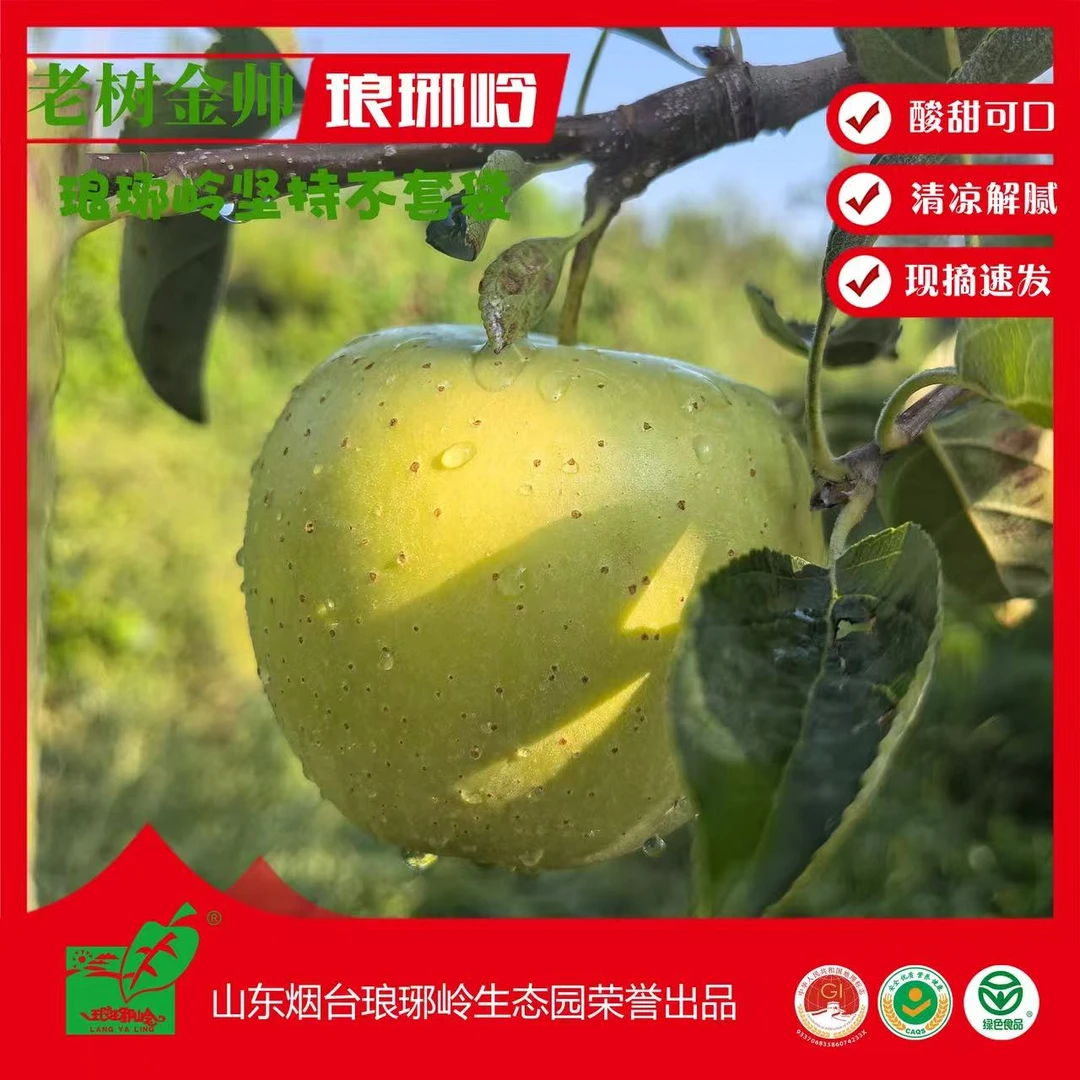 琅琊岭正宗老金帅苹果新鲜上市脆粉两吃酸甜可口维生素c水果孕妇