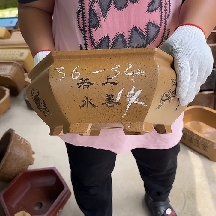 是一个充满生机盎然