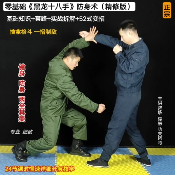 专业版《黑龙十八手•套路+52式变招》精讲教程（视频课联系客服解锁）