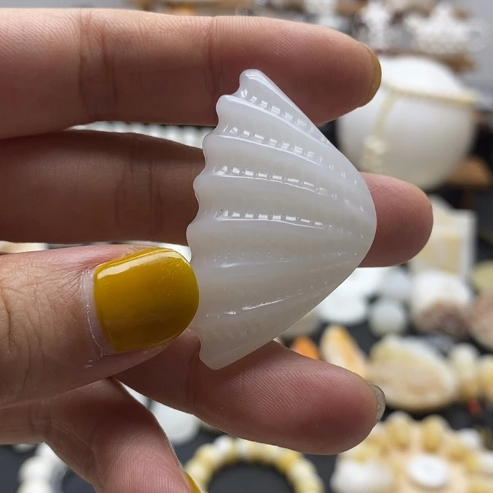 贝壳非金属全品玉化白贝
