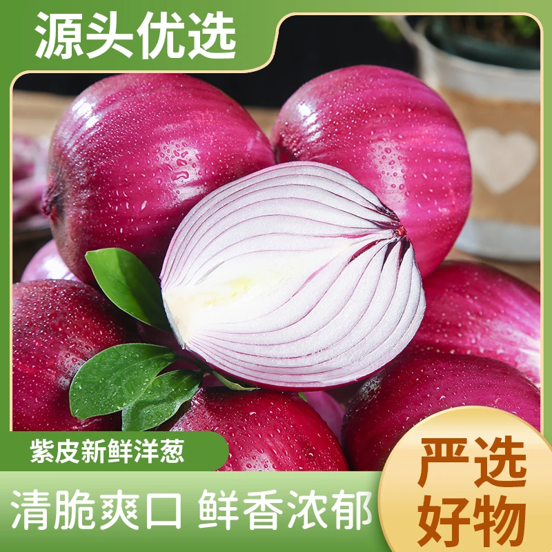 当季新鲜洋葱4.5装 辛香可口