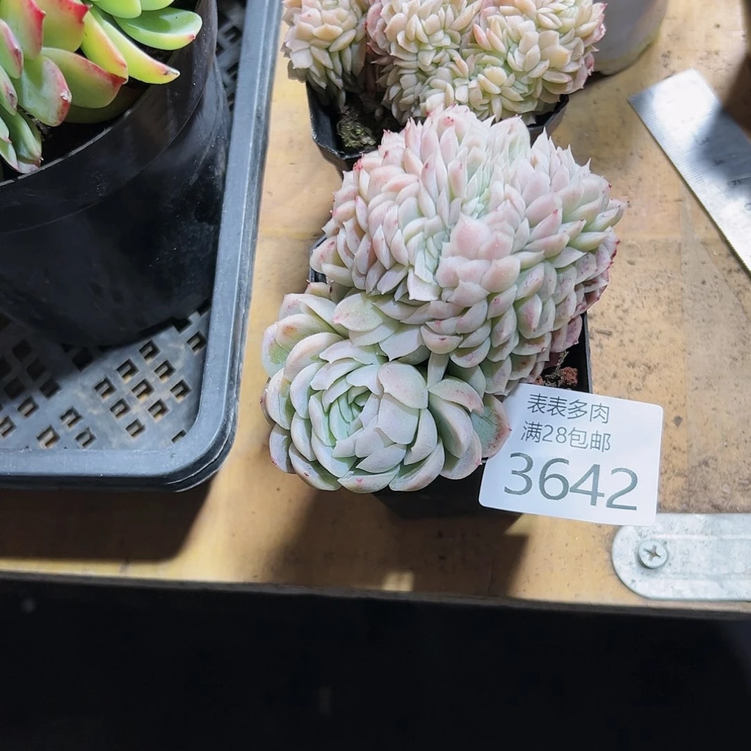 9号Y****y我们的确是一3642