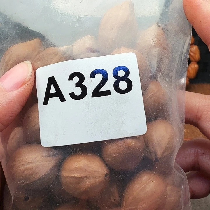 忧***猪橄榄核手串/手链橄榄