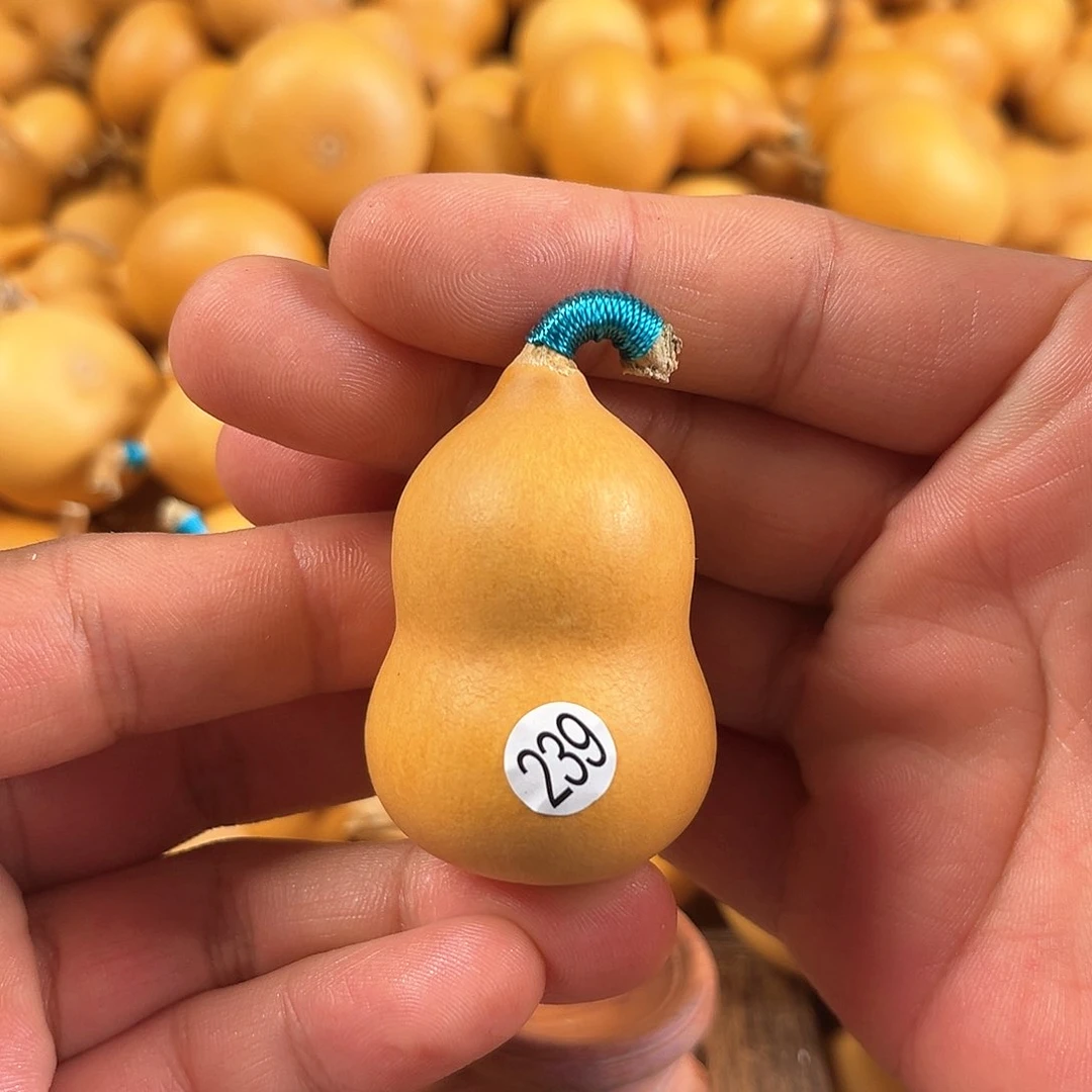 二葫芦葫芦葫芦239