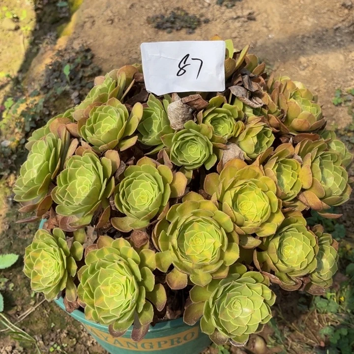 8711111111111111111111