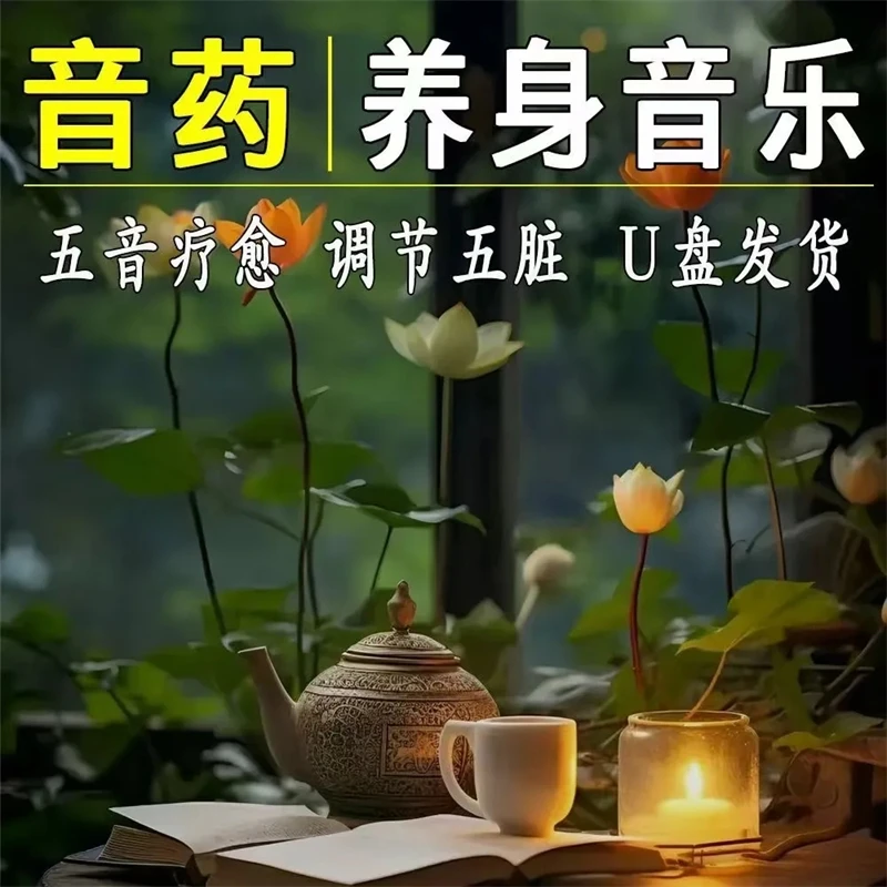 静心养身轻音乐U盘五音疗愈国乐五音大师调理五脏美容院茶室放松