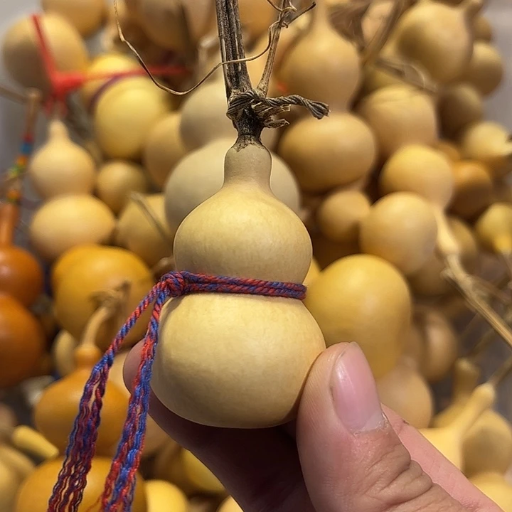 甘***王有机玻璃蚂蚁蚂蚁蚂蚁蚂蚁