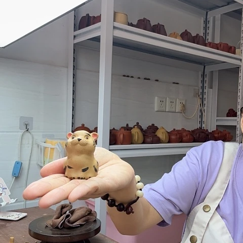 段泥茶宠老虎茶宠