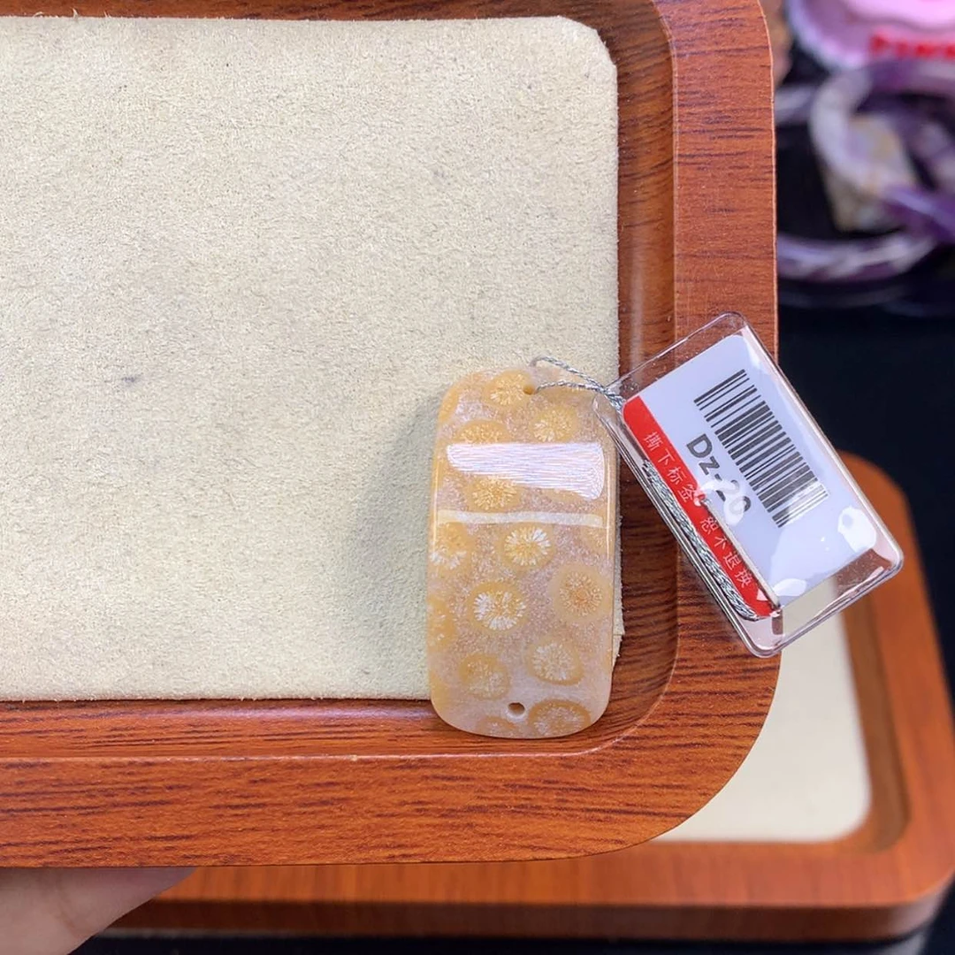 【闪购商品】颈饰未镶嵌硅化珊瑚（珊瑚玉）