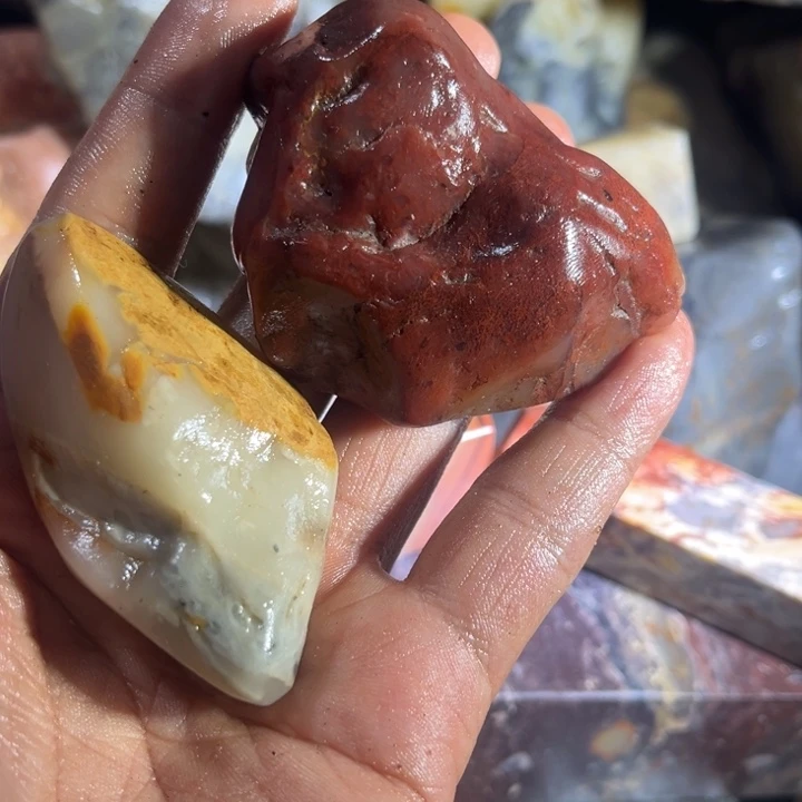 鱼****寿山石88888888888888