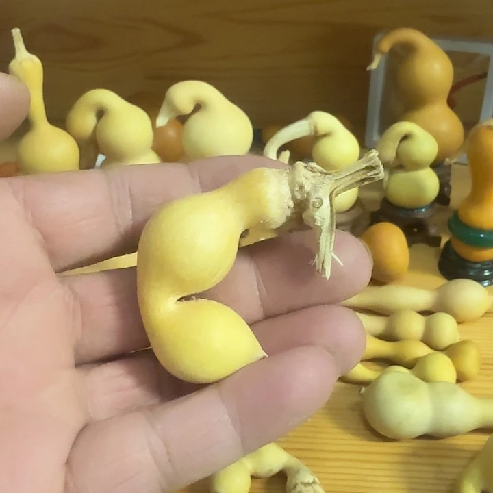 木蚂蚁葫芦喜欢下单