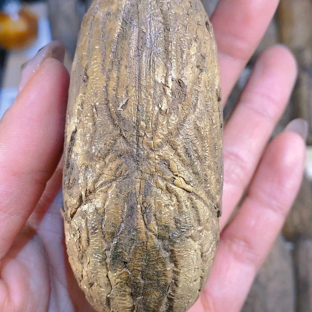 木宙****?千眼菩提三号链接十个大果王