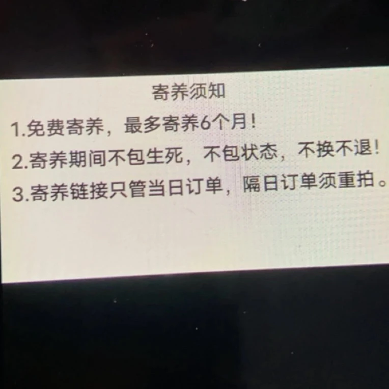 精品多肉植物寄养链接