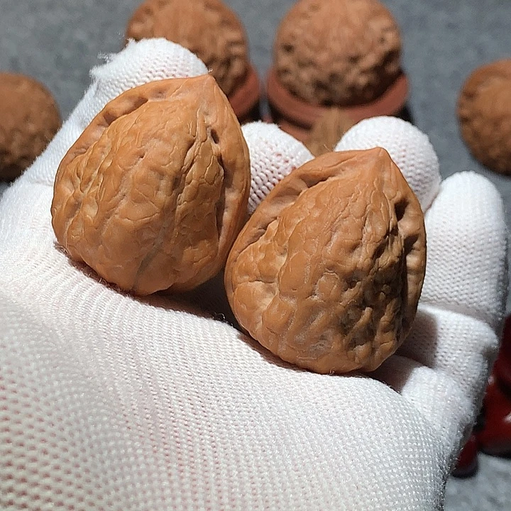 把件文玩核桃石子金蝉33